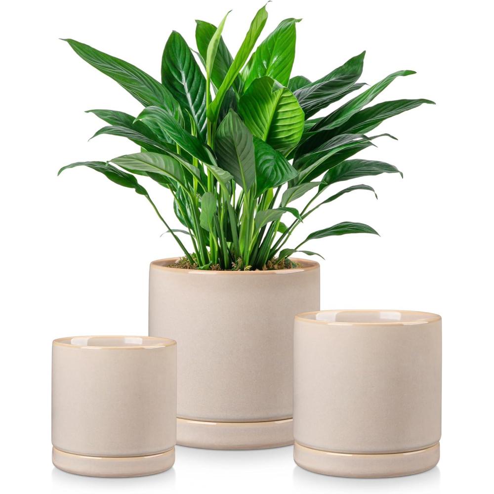 imagevancasso Ceramic Plant Pots 3 Piece Planters for Indoor Plants 425525625 Inch Flower Pots with Drainage Plant Pots Indoor for Succulent Pothos Snake Plant and Money Tree Etc WhiteGray