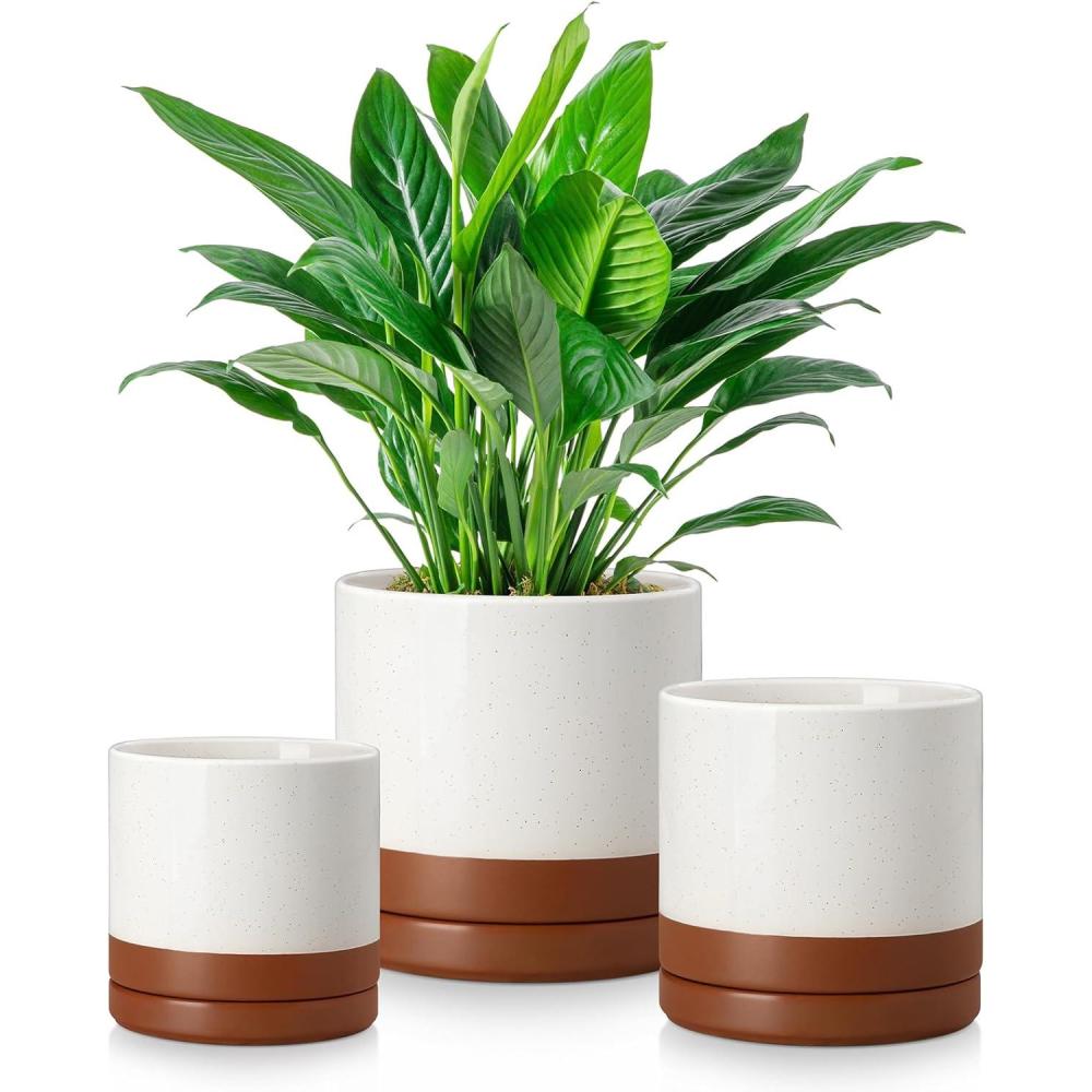imagevancasso Ceramic Plant Pots 3 Piece Planters for Indoor Plants 425525625 Inch Flower Pots with Drainage Plant Pots Indoor for Succulent Pothos Snake Plant and Money Tree Etc WhiteKhaki