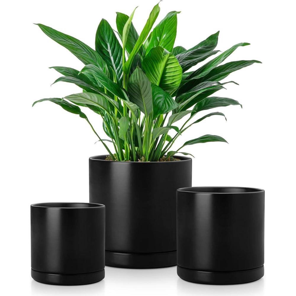 imagevancasso Ceramic Plant Pots 3 Piece Planters for Indoor Plants 425525625 Inch Flower Pots with Drainage Plant Pots Indoor for Succulent Pothos Snake Plant and Money Tree Etc WhiteBlack