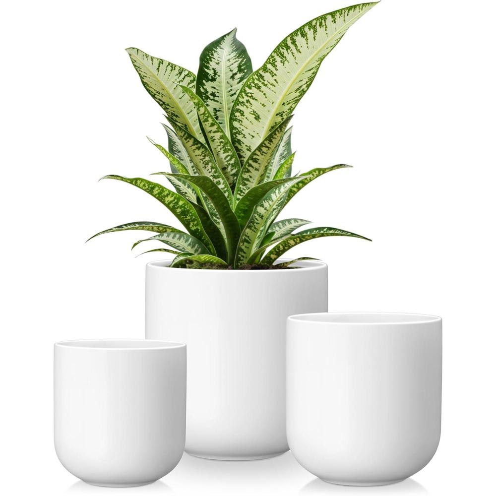 imagevancasso Ceramic Plant Pots 456 inches Set of 3 Planters with Drainage Hole Flower Pots Planters Pots for Indoor Plants Modern Indoor Decorative Garden Pot Home Decor WhiteWhite