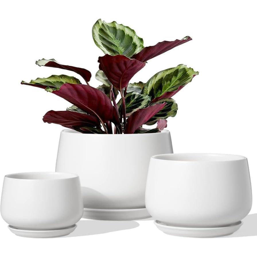 imagevancasso Plant Pots 374762 inch Set of 3 Ceramic Garden Planters Indoor Flower Pot BlackWhite