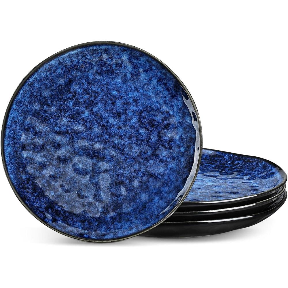 imagevancasso Starry Dinner Plates 105 Inch Ceramic Plates Microwave Oven and Dishwasher Safe Plates Set of 4 Modern Dinnerware Dishes SetampampScratch ResistantBlue