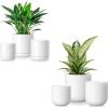 vancasso 2 Set of Ceramic Plant Pots, 4+5+6 inches, Planters with Drainage Hole, Flower Pots Planters Pots for Indoor Plants