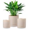vancasso Ceramic Plant Pots, 3 Piece Planters for Indoor Plants, 4.25+5.25+6.25 Inch Flower Pots with Drainage, Plant Pots Indoor for Succulent, Pothos, Snake Plant and Money Tree, Etc (White)(Gray)