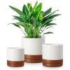 vancasso Ceramic Plant Pots, 3 Piece Planters for Indoor Plants, 4.25+5.25+6.25 Inch Flower Pots with Drainage, Plant Pots Indoor for Succulent, Pothos, Snake Plant and Money Tree, Etc (White)(Khaki)