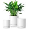 vancasso Ceramic Plant Pots, 3 Piece Planters for Indoor Plants, 4.25+5.25+6.25 Inch Flower Pots with Drainage, Plant Pots Indoor for Succulent, Pothos, Snake Plant and Money Tree, Etc (White)(White)