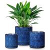 vancasso Ceramic Plant Pots, 3 Piece Planters for Indoor Plants, 4.25+5.25+6.25 Inch Flower Pots with Drainage, Plant Pots Indoor for Succulent, Pothos, Snake Plant and Money Tree, Etc (White)(Blue)