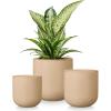 vancasso Ceramic Plant Pots, 4+5+6 inches, Set of 3, Planters with Drainage Hole, Flower Pots Planters Pots for Indoor Plants, Modern Indoor Decorative Garden Pot, Home Decor, White(Brown)