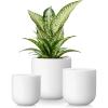 vancasso Ceramic Plant Pots, 4+5+6 inches, Set of 3, Planters with Drainage Hole, Flower Pots Planters Pots for Indoor Plants, Modern Indoor Decorative Garden Pot, Home Decor, White(White)