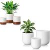 vancasso Ceramic Plant Pots, 6 Pieces Planters for Indoor Plants, 4+5+6 Inch, 6+8+10 inch, Flower Pots with Drainage