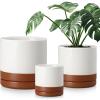 vancasso Ceramic Planters, Plant Pots for Indoor Plants, 6.25+8.25+10.25 Inch Ceramic Pots for Plants, Flower Pots with Drainage Holes (Gray, 6.25+8.25+10.25 Inch)(Reactive Glaze White)