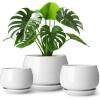 vancasso Plant Pots, 7.3 + 9.6 + 11.6 inch, Set of 3, Ceramic Garden Planters Indoor Flower Pot, White(White)