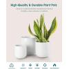 vancasso 2 Set of Ceramic Plant Pots, 3 Piece Planters for Indoor Plants, 4+5+6 inches, Flower Pots with Drainage