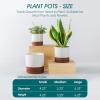 vancasso 2 Set of Ceramic Plant Pots, 3 Piece Planters for Indoor Plants, 4+5+6 inches, Flower Pots with Drainage