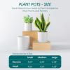 vancasso 2 Set of Ceramic Plant Pots, 4+5+6 inches, Planters with Drainage Hole, Flower Pots Planters Pots for Indoor Plants