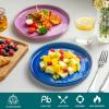 vancasso Bonita 8.5 inch Salad Plates, Ceramic Small Dinner Plates Set, Dessert Plates Set of 6, Microwave,Oven and Dishwasher Safe, Blue(Colored)