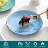 vancasso Bonita Blue Salad Plate Set of 6, 7.5 Inch Ceramic Dinner Plate, Dishwasher and Microwave Safe(Cool Color)