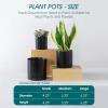 vancasso Ceramic Plant Pots, 3 Piece Planters for Indoor Plants, 4.25+5.25+6.25 Inch Flower Pots with Drainage, Plant Pots Indoor for Succulent, Pothos, Snake Plant and Money Tree, Etc (White)(Black)