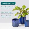 vancasso Ceramic Plant Pots, 3 Piece Planters for Indoor Plants, 4.25+5.25+6.25 Inch Flower Pots with Drainage, Plant Pots Indoor for Succulent, Pothos, Snake Plant and Money Tree, Etc (White)(Blue)