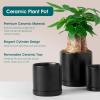vancasso Ceramic Plant Pots, 3 Piece Planters for Indoor Plants, 4.25+5.25+6.25 Inch Flower Pots with Drainage, Plant Pots Indoor for Succulent, Pothos, Snake Plant and Money Tree, Etc (White)(Black)