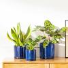vancasso Ceramic Plant Pots, 3 Piece Planters for Indoor Plants, 4.25+5.25+6.25 Inch Flower Pots with Drainage, Plant Pots Indoor for Succulent, Pothos, Snake Plant and Money Tree, Etc (White)(Blue)