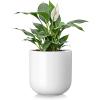 vancasso Ceramic Plant Pots, 4 Pieces Planters for Indoor Plants, 4+5+6+8 Inch, Flower Pots with Drainage