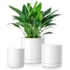 vancasso Ceramic Plant Pots, 4 Pieces Planters for Indoor Plants, 4+5+6+8 Inch, Flower Pots with Drainage