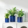 vancasso Ceramic Plant Pots, 4.25+5.25+6.25 Inch Planter Pot with Drainage Hole, Flower Pots for Indoor Outdoor Plants, Set of 3, Blue(Blue)