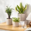 vancasso Ceramic Plant Pots, 4.25+5.25+6.25 Inch Planter Pot with Drainage Hole, Flower Pots for Indoor Outdoor Plants, Set of 3, Blue(Gray)