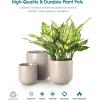 vancasso Ceramic Plant Pots, 4+5+6 inches, Set of 3, Planters with Drainage Hole, Flower Pots Planters Pots for Indoor Plants, Modern Indoor Decorative Garden Pot, Home Decor, White(Gray)