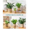 vancasso Ceramic Plant Pots, 4+5+6 inches, Set of 3, Planters with Drainage Hole, Flower Pots Planters Pots for Indoor Plants, Modern Indoor Decorative Garden Pot, Home Decor, White(Brown)