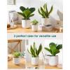 vancasso Ceramic Plant Pots, 4+5+6 inches, Set of 3, Planters with Drainage Hole, Flower Pots Planters Pots for Indoor Plants, Modern Indoor Decorative Garden Pot, Home Decor, White(White)