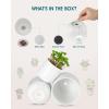 vancasso Ceramic Plant Pots, 4+5+6 inches, Set of 3, Planters with Drainage Hole, Flower Pots Planters Pots for Indoor Plants, Modern Indoor Decorative Garden Pot, Home Decor, White(White)