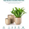 vancasso Ceramic Plant Pots, 4+5+6 inches, Set of 3, Planters with Drainage Hole, Flower Pots Planters Pots for Indoor Plants, Modern Indoor Decorative Garden Pot, Home Decor, White(Brown)