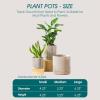 vancasso Ceramic Plant Pots, 6 Piece Planters for Indoor Plants, 4.25+5.25+6.25 Inch, 6.25+8.25+10.25 Inch