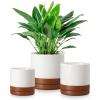 vancasso Ceramic Plant Pots, 6 Pieces Planters for Indoor Plants, 4.25+5.25+6.25 Inch Flower Pots with Drainage