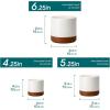 vancasso Ceramic Plant Pots, 6 Pieces Planters for Indoor Plants, 4.25+5.25+6.25 Inch Flower Pots with Drainage