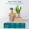 vancasso Ceramic Plant Pots, 6 Pieces Planters for Indoor Plants, 4+5+6 Inch, Flower Pots with Drainage