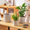 vancasso Ceramic Planters, Plant Pots for Indoor Plants, 6.25+8.25+10.25 Inch Ceramic Pots for Plants, Flower Pots with Drainage Holes (Gray, 6.25+8.25+10.25 Inch)(Gray)