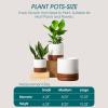 vancasso Ceramic Planters, Plant Pots for Indoor Plants, 6.25+8.25+10.25 Inch Ceramic Pots for Plants, Flower Pots with Drainage Holes (Gray, 6.25+8.25+10.25 Inch)(Reactive Glaze White)