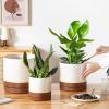 vancasso Ceramic Planters, Plant Pots for Indoor Plants, 6.25+8.25+10.25 Inch Ceramic Pots for Plants, Flower Pots with Drainage Holes (Gray, 6.25+8.25+10.25 Inch)(Reactive Glaze White)