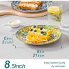 vancasso Dinner Plates Set of 6-10.5 Inch Ceramic Plates, Microwave, Oven and Dishwasher Safe, Colorful Bohemian Style Dishes for Kitchen(Bohemian Style)