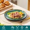 vancasso PLAYA Dinner Plates Set of 6, 10.25 Inch – Ceramic & Stoneware Plates, Microwave & Oven Safe, Trendy Green Tableware for Modern Dining, Durable Dishwasher Safe Design(Green)