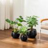 vancasso Plant Pots, 7.3 + 9.6 + 11.6 inch, Set of 3, Ceramic Garden Planters Indoor Flower Pot, White(Black)