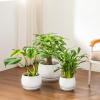 vancasso Plant Pots, 7.3 + 9.6 + 11.6 inch, Set of 3, Ceramic Garden Planters Indoor Flower Pot, White(White)