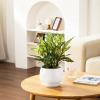 vancasso Plant Pots, 7.3 + 9.6 + 11.6 inch, Set of 3, Ceramic Garden Planters Indoor Flower Pot, White(White)