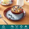 vancasso Starry 16 Pieces Green Dinnerware Set, Reactive Glaze Dinner Sets, Plates and Bowls Set for 4, 16 Pcs Ceramic Dish Set Stoneware(Starry-Red)