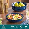 vancasso Stern Large Pasta Bowls Set of 4, 38 Oz Ceramic Salad Plate Bowls for Serving, Kitchen Stoneware Wide Bowls for Soup, Pasta, Salad, Cereals, Microwave Oven Safe, Reactive Glaze-Blue(Blue)