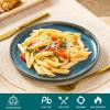 vancasso VAGE Dinner Plates Set of 6, 10.25 Inch Ceramic Plates, Microwave, Oven and Dishwasher Safe Plates, Blue(Blue)