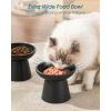 vancasso Elevated Cat Food Bowls 2-Pack, 6.2″ Wide Shallow Cat Feeding Bowl for Whisker Fatigue, 5.1″ Height Ceramic Raised Food Bowls for Senior Cats, Anti Vomit, Black